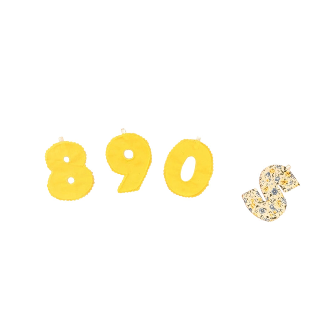 Monthly Growth Baby Banner