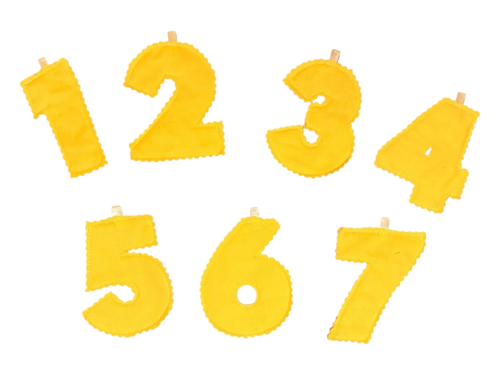 Monthly Growth Baby Banner