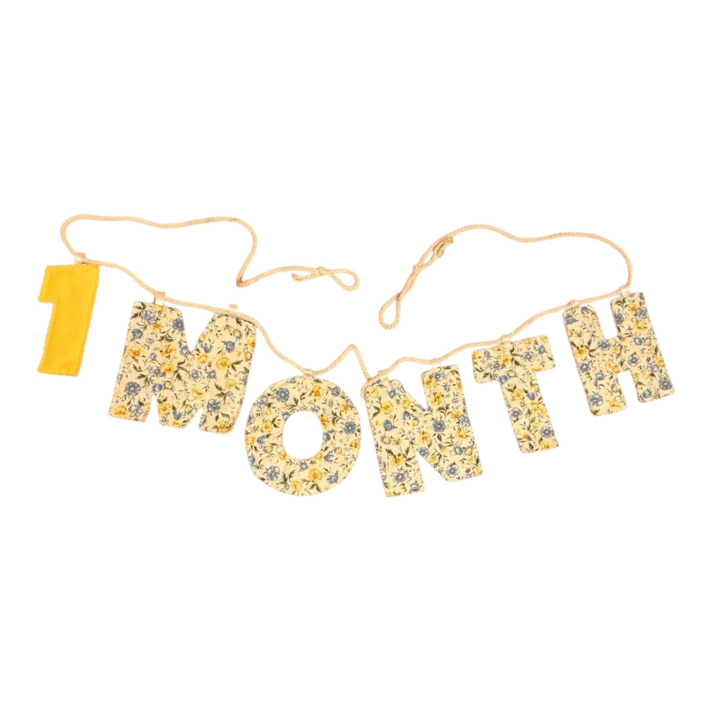 Monthly Growth Baby Banner