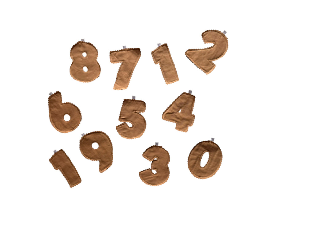 Monthly Growth Baby Banner