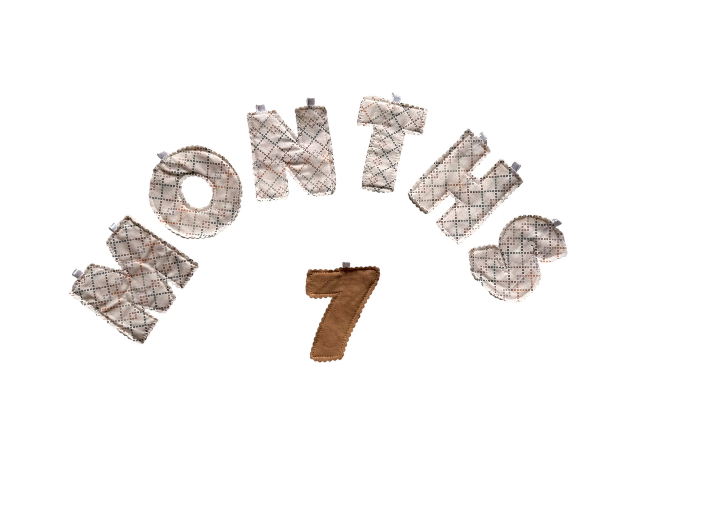 Monthly Growth Baby Banner